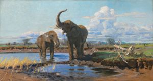 Elephants at a waterhole