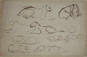 Studienblatt mit Löwen und Tigern