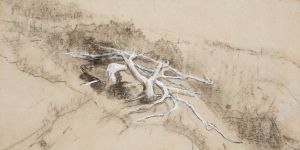 Tree Roots on a Hillside, Prout’s Neck