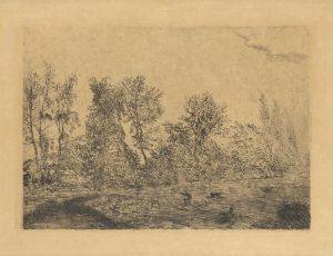 Windstoot in het geboomte