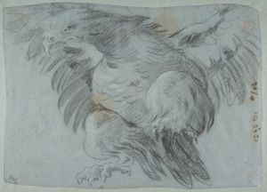 An Eagle with Wings Spread