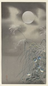Grasses and flowers at full moon