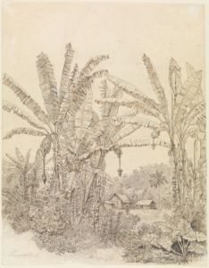 Blick auf einige Häuser im Urwald beim Parahyba